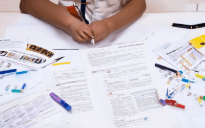 Unveiling the Essential Components of School Success: Top Articles for Students